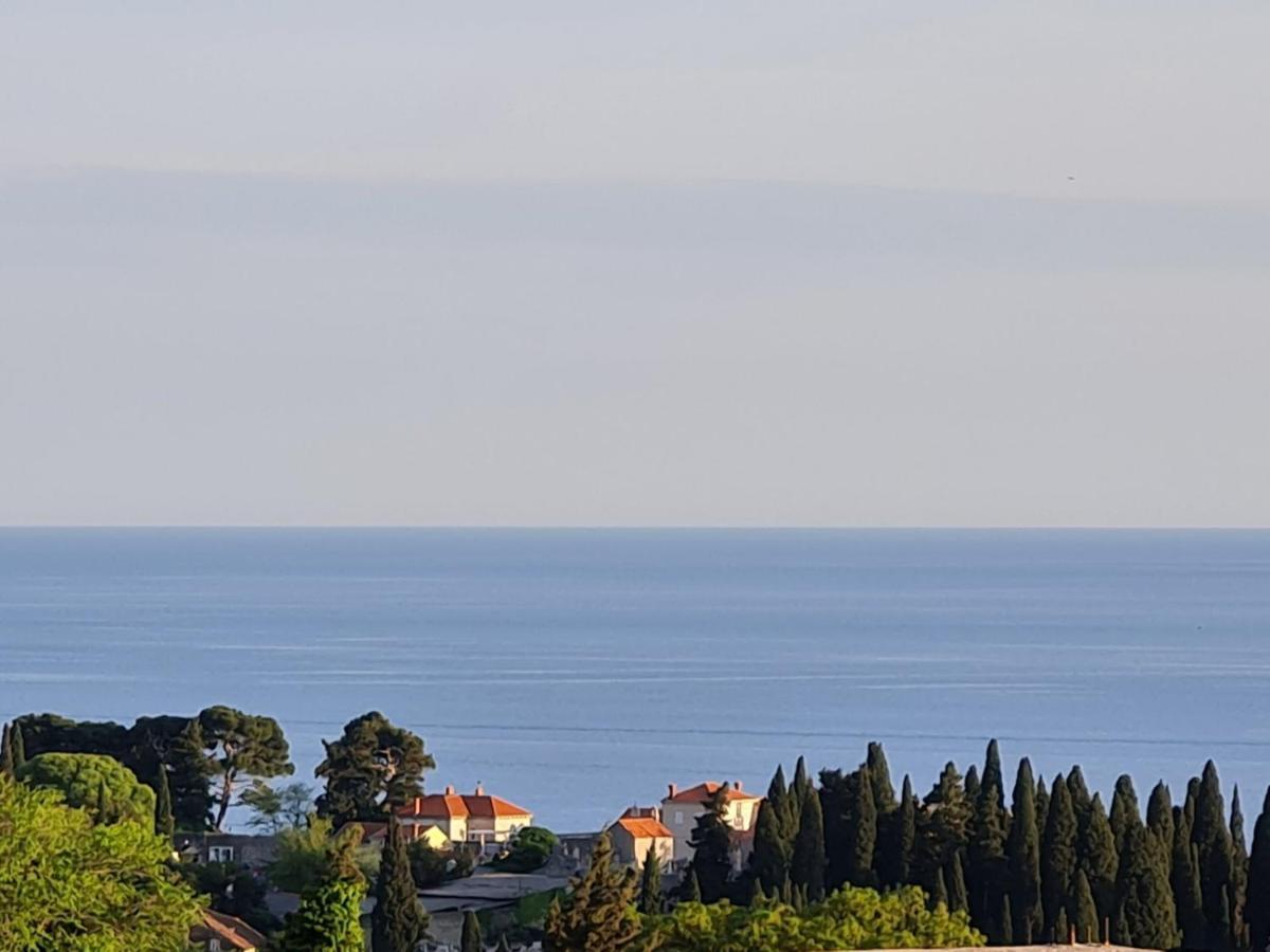 Sunspot Apartment - Beautiful View With Big Garden, Free Parking, Central Dubrovnik Exteriör bild