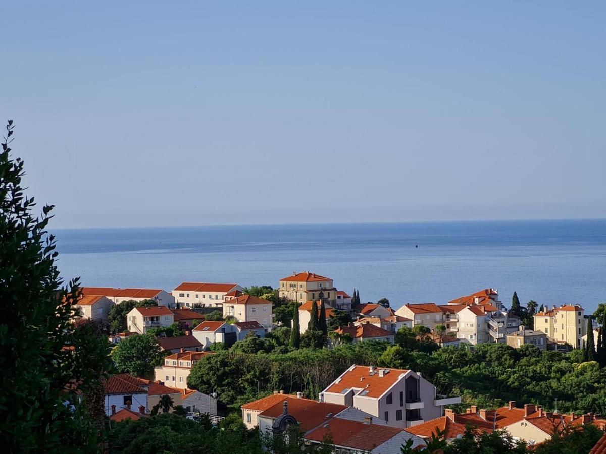 Sunspot Apartment - Beautiful View With Big Garden, Free Parking, Central Dubrovnik Exteriör bild